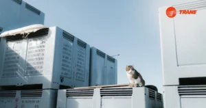 Read more about the article Trane Iraq: Flexible Cooling Solutions with Air Cooled Chiller & Rental Systems